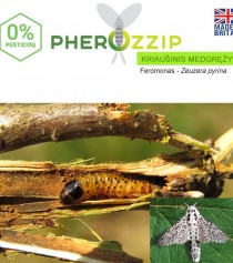 Feromonas Kriaušiniui medgręžiui (Zeuzera pyrina) Pherozzip, 1 vnt